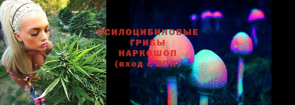 ПСИЛОЦИБИНОВЫЕ ГРИБЫ Арсеньев