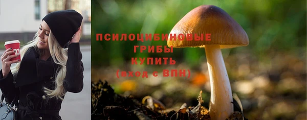 прущий лед Аркадак