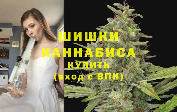 дживик Балахна