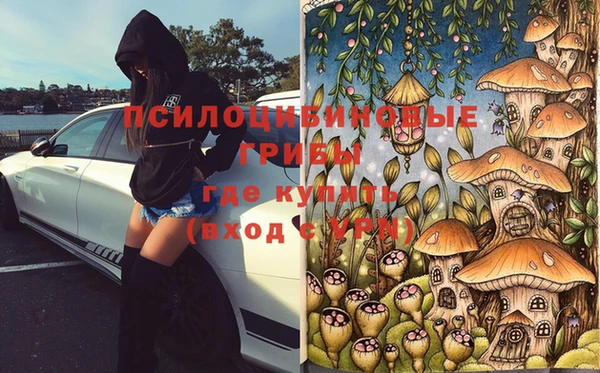 ПСИЛОЦИБИНОВЫЕ ГРИБЫ Арсеньев