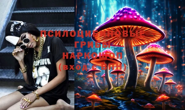 дживик Балахна