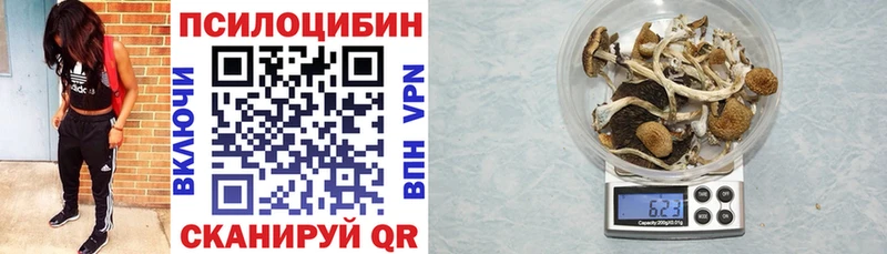 Псилоцибиновые грибы Cubensis  мега как войти  маркетплейс официальный сайт  Озёры 